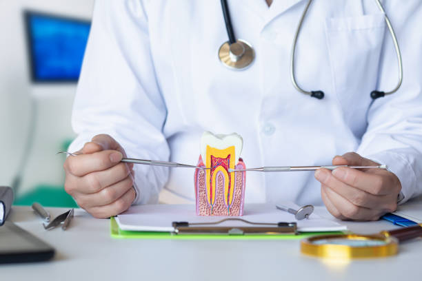 Best 24-Hour Emergency Dental Care in Evans City, PA